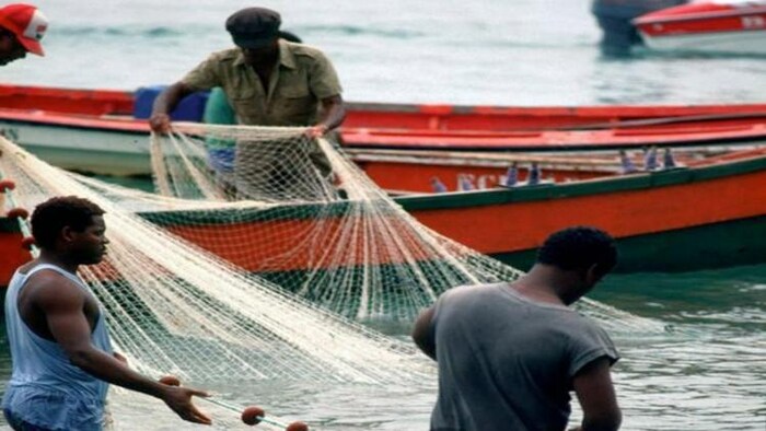 इस राज्य में चलती है मछुआरों की स्पेशल क्लास, फोटो साभार: pinterest