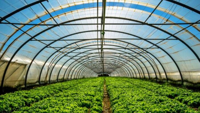 अब नई तकनीक के साथ करें खेती