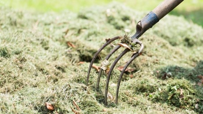 यूपी में बंजर जमीन को उपजाऊ बनाने के लिए किसानों को अनुदान पर मिलेगा हरी खाद का बीज