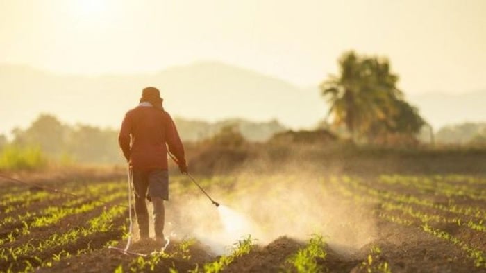 हैंड स्प्रे और विशेषता