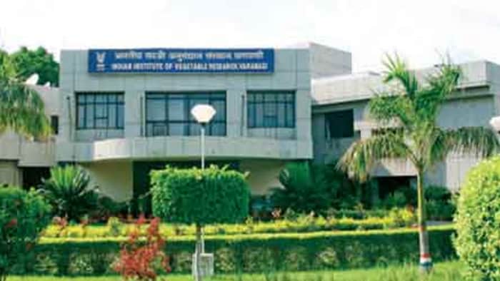 भारतीय सब्जी अनुसंधान संस्थान
