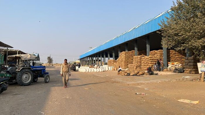 जैसलमेर में सुल्ताना क्षेत्र में पीथेवाला कृषि उपज मंडी सबयार्ड शुरू. सांकेतिक तस्वीर. फोटो- माधव शर्मा