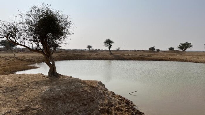 राजस्थान में 44 नए वेटलेंड घोषित किए गए हैं. फोटो- माधव शर्मा