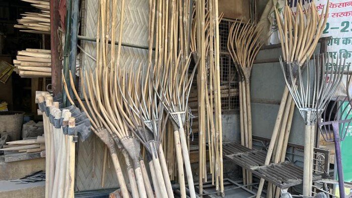 खेती के छोटे-मोटे काम में काफी मददगार होती है झेली. फोटो- माधव शर्मा