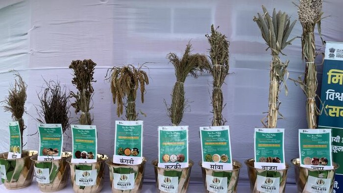 राजस्थान में इंदिरा रसोई में मिलेंगी बाजरे और ज्वार की रोटी. फोटो- माधव शर्मा