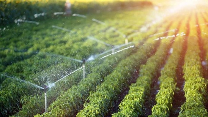 सिंचाई का सही तरीका