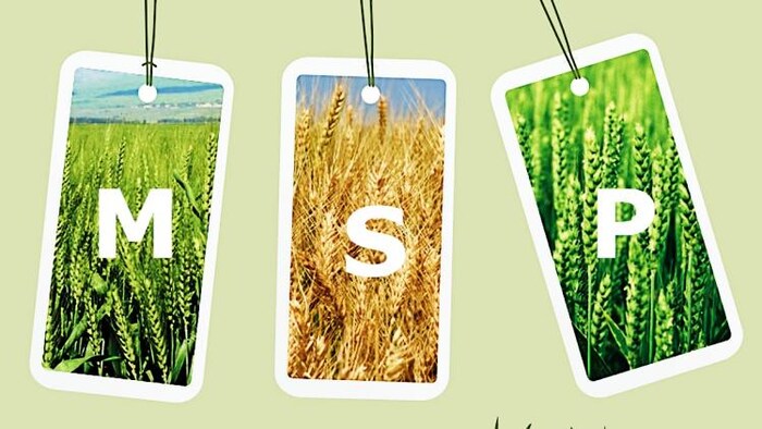 एमएसपी को लेकर किसानों में क्यों है असंतोष? (Photo-Kisan Tak).