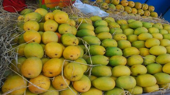 मंडी में बढ़ी आम की आवक