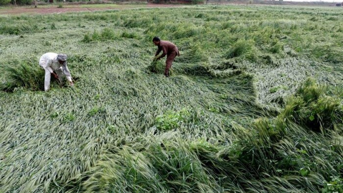 उत्तर प्रदेश के इन जिलों के लिए मौसम विभाग का अलर्ट