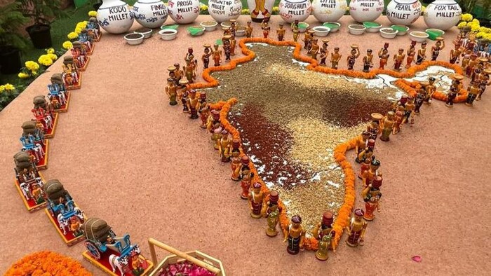 पूसा में हुआ श्री अन्ना कार्यक्रम.