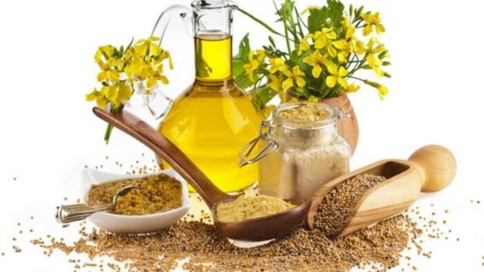 हरियाणा में शुरू हुई सरसों की खरीदी