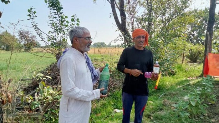 बुंदेलखंड में प्राकृतिक खेती कर रहे किसानों को उर्वरक आदि पर मिल रही सरकार से सब्सिडी
