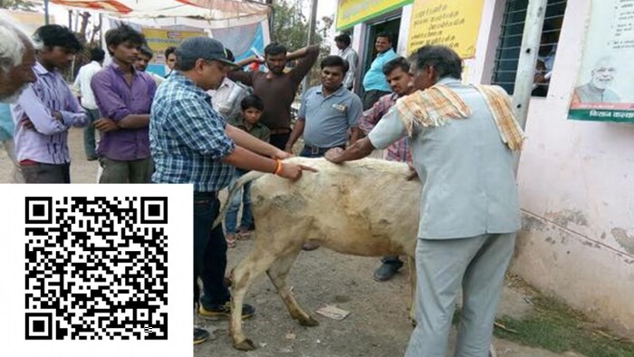 ऑनलाइन वेटरनरी क्लीनिक ऐप से पशुपालकों को मिलेगी चिकित्सकीय मदद