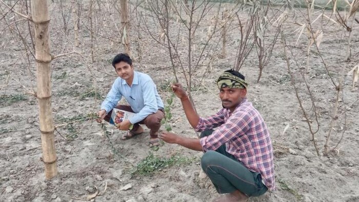 जैविक खेती सीखने के बाद बांदा के युवा किसान जीतेन्द्र गुप्ता किसानों को देते हैं इस विधा का प्रशिक्षण