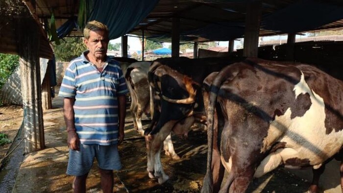 अपने गायों के बीच खड़े विशेश्वर साही फोटोः किसान तक