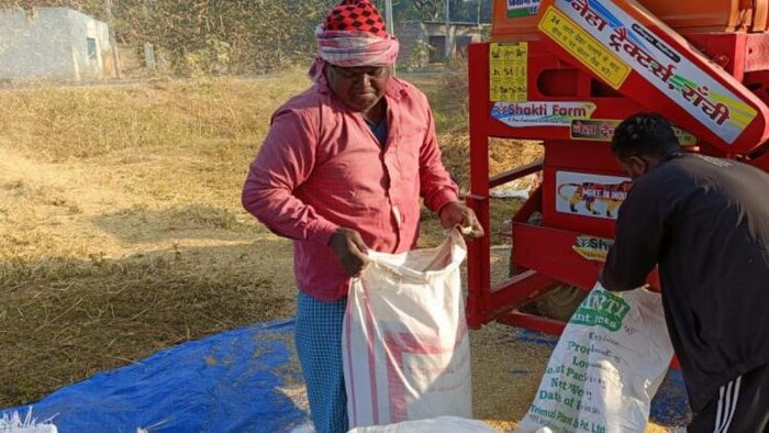 अपने धान को समेटता एक किसान फोटोः किसान तक