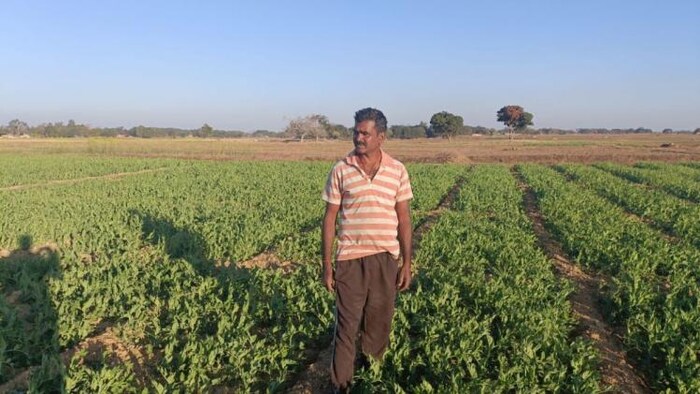 अपने खेत में खड़ा किसान फोटोः किसान तक