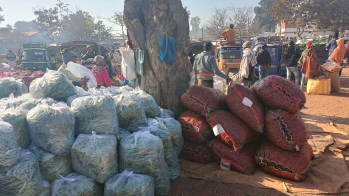 एफपीओ के जरिए किसानों को मिल रहे अच्छे दाम फोटोः किसान तक