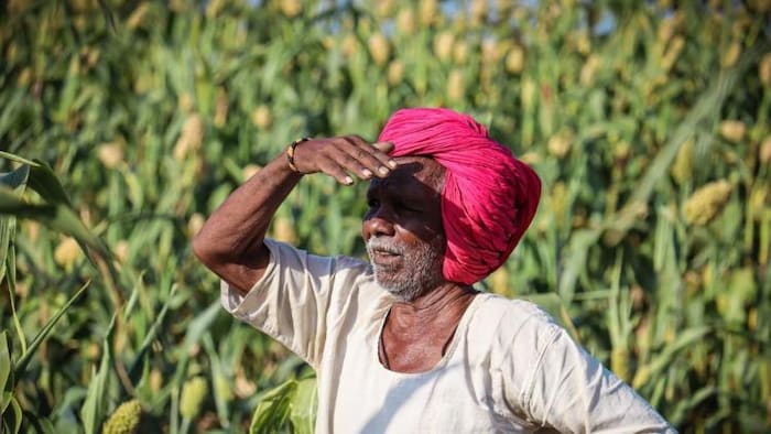 अटका पड़ा है किसानों का पैसा