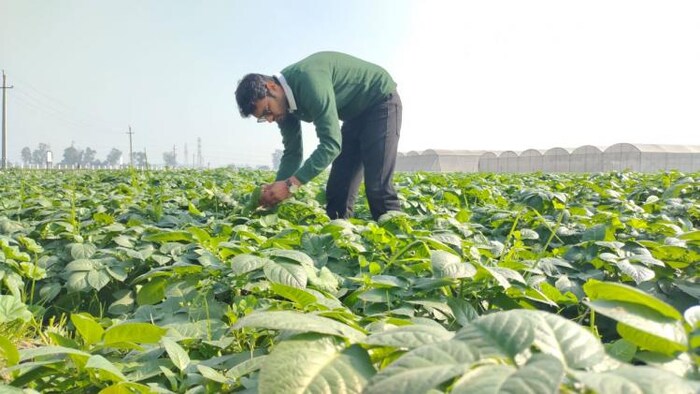 तमिलनाडु सरकार ने ऑर्गेनिक फार्मिंग पॉलिसी लॉन्च की