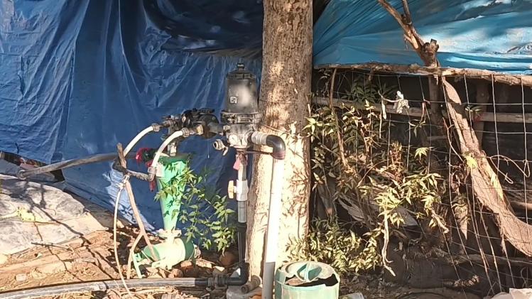 अजमेर डिस्कॉम ने किसानों के पेंडिंग कृषि कनेक्शन जारी करने के आदेश दिए हैं. फोटो- माधव शर्मा