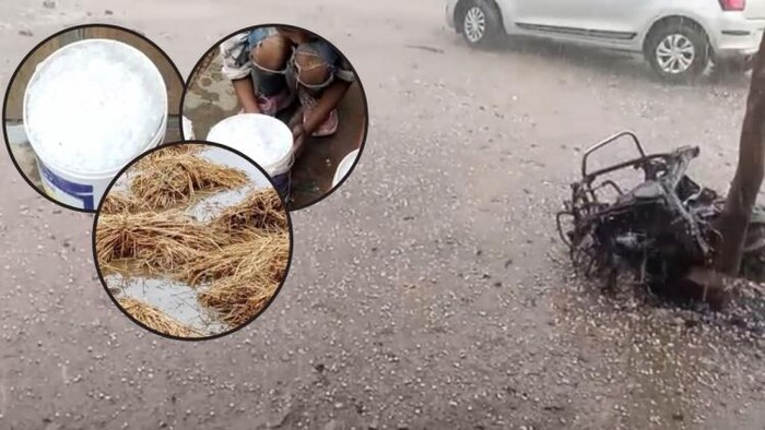 बेमौसम बारिश ने किसानों पर कहर बरपाया है