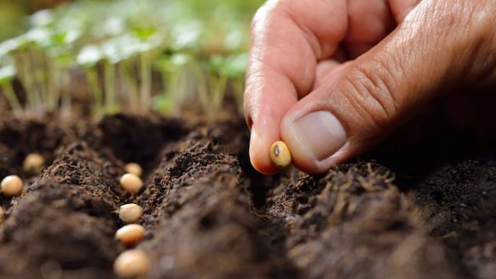 अब नहीं होगी बीजों की कालाबाजारी!