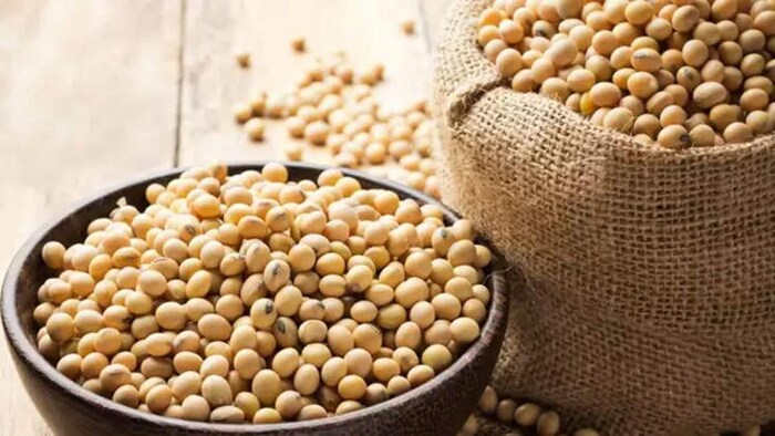 सोयाबीन निर्यात में तेज़ी से आई बढ़त