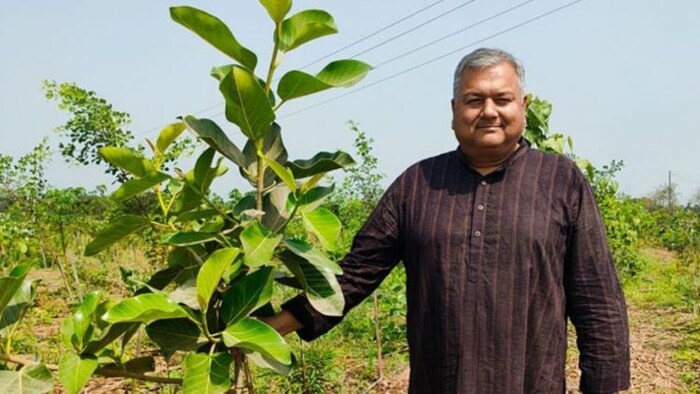 स्वामी प्रेम परिवर्तन पेड़ लगाकर बन गए 'पीपल बाबा'