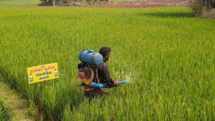 आधी कीमत पर किसानों के घर फ्री पहुंचेगा इफको नैनो यूरिया, सांकेतिक तस्वीर