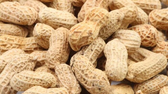 मूंगफली उत्पादन में गुजरात है सबसे आगे, फोटो साभार: freepik