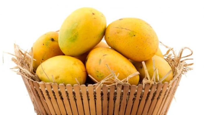 आम के उत्पादन में यूपी है सबसे आगे, फोटो साभार: freepik