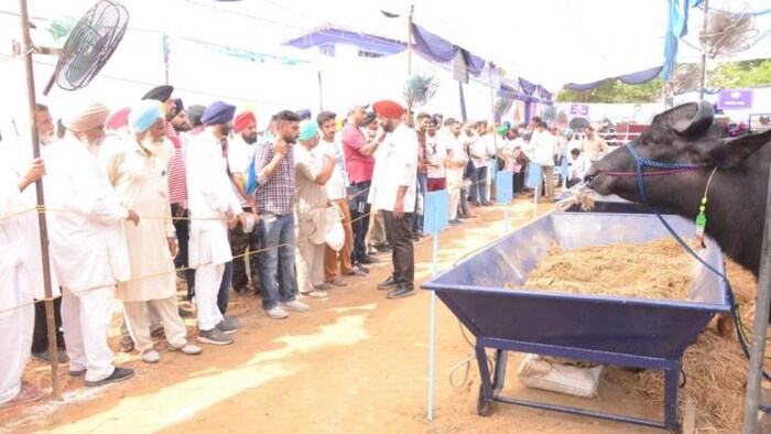 वेटरनरी यूनिवर्सिटी में 24-25 मार्च को होगा 'पशुपालन मेला' का आयोजन