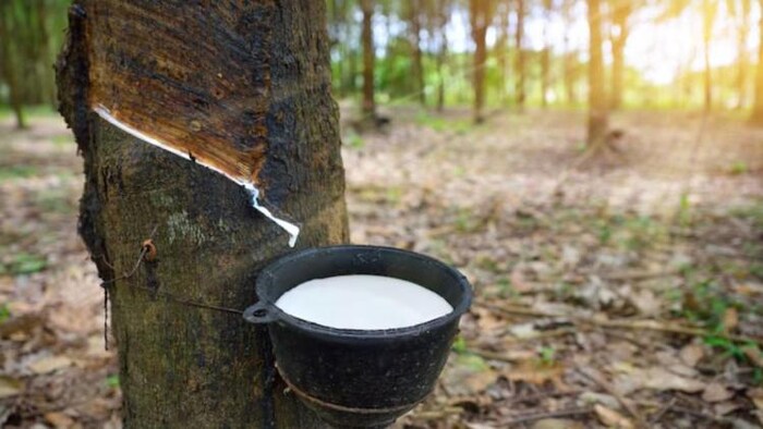 अब छोटे पैक में मिलेगा रबर स्प्रे ऑयल, फोटो साभार: freepik