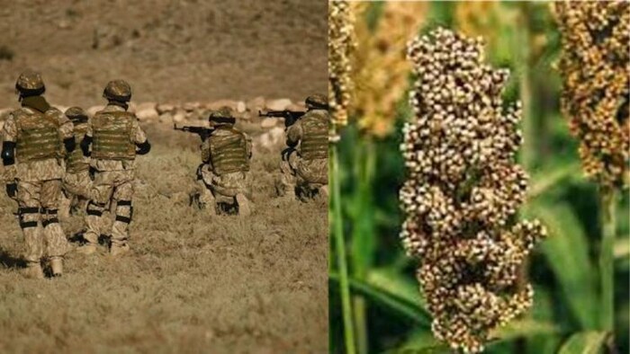 अब सेना को भी परोसे जाएंगे मोटे अनाज के पकवान, फोटो साभार: freepik