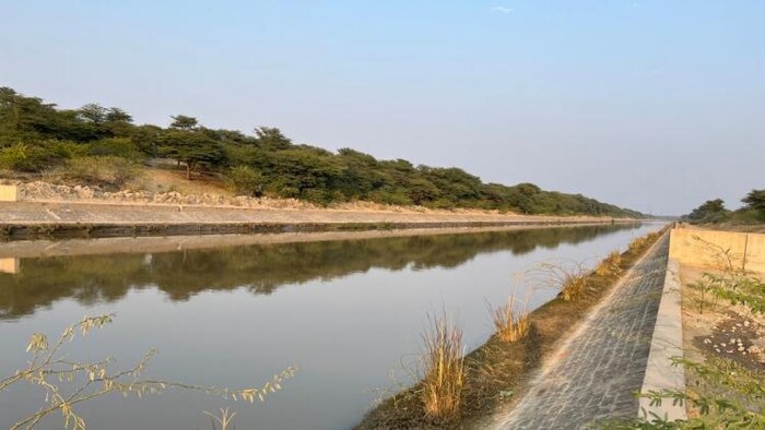 भाखड़ा नहर से हनुमानगढ़ के किसान 28 मार्च तक पानी देने की मांग कर रहे हैं. सांकेतिक फोटो- माधव शर्मा