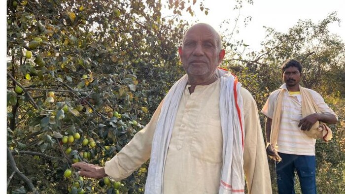 अपने बाग में सेना से रिटायर किसान बेचन सिंह