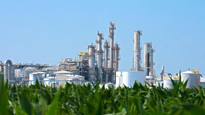 बिहार सरकार सलाना 57 करोड़ लीटर इथेनॉल का करेगी उत्पादन, फोटो क्रेडिट: आज तक