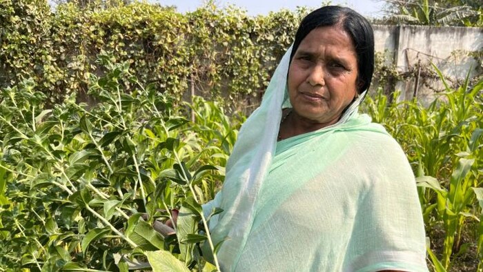 अनीता कुमारी सब्जी और मिलेट्स की खेती से कर रही हैं अच्छी कमाई, फोटो 'किसान तक'