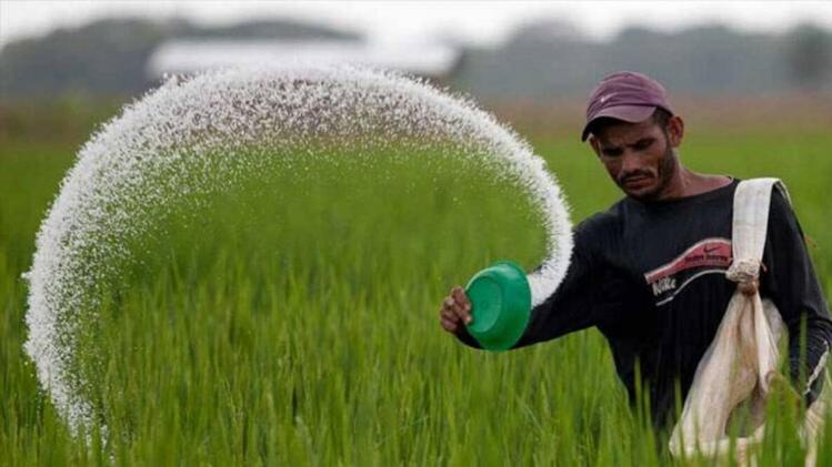 इस साल नहीं होगी यूरिया की कमी!