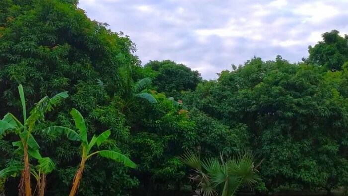 होली से पहले बदलेगा मौसम का मिजाज, फोटो: किसान तक