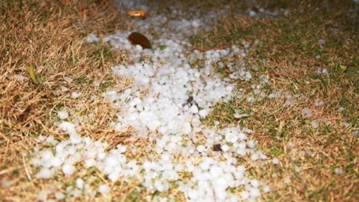 बेमौसम बारिश और ओलावृष्टि से लाखों की फसलें तबाह, सांकेतिक तस्वीर