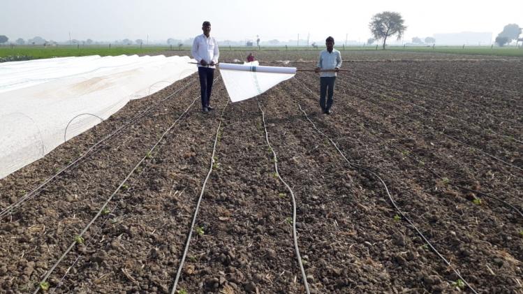 कोटा के किसान जयप्रकाश गहलोत ने रंग-बिरंगी सब्जी उगाकर क्षेत्र में पहचान बनाई है. फोटो- जयप्रकाश गहलोत