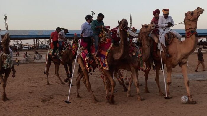 पुष्कर में अंतरराष्ट्रीय होली महोत्सव में ऊंटों पर बैठकर पोलो मैच खेला गया. फोटो- भीकम