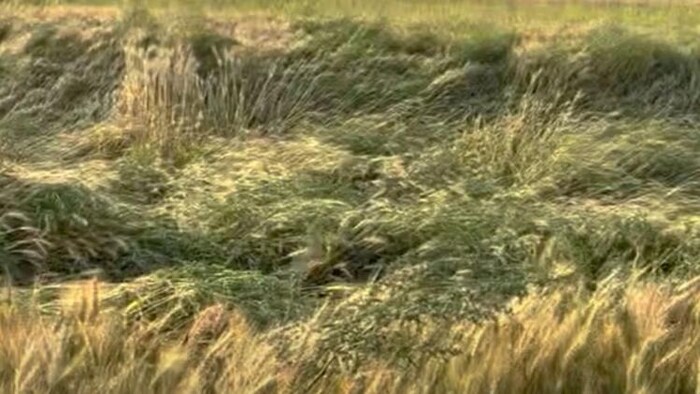 मुआवजे के लिए किसानों ने सड़क पर लगाया जाम, सांकेतिक तस्वीर