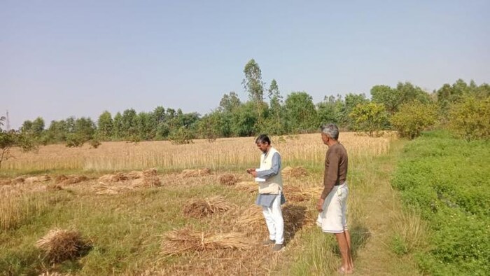 मंडी में फसल पहुंचने से पहले किसान कर रहे हैं गेहूं की कटाई, फोटो : किसान तक