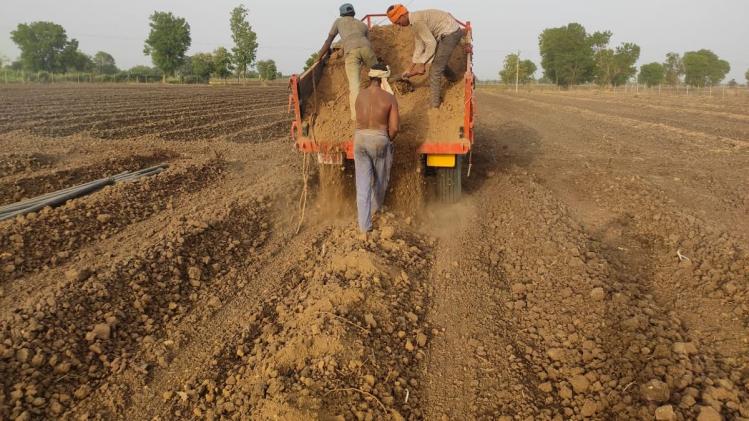 किसान ने खेत में काली मिट्टी पर पीली मिट्टी बिछाकर किया नया प्रयोग