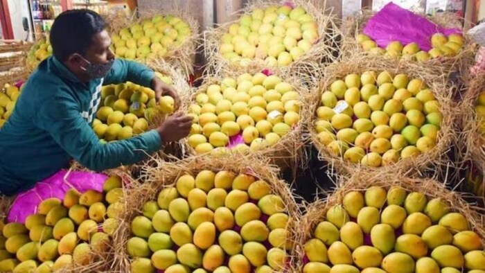 ईएमआई पर अल्फांसो आम