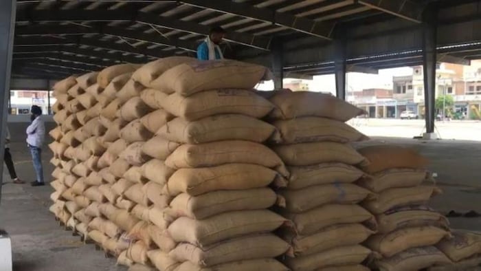 रोहतक मंडी में शुरू हुई गेहूं की आवक