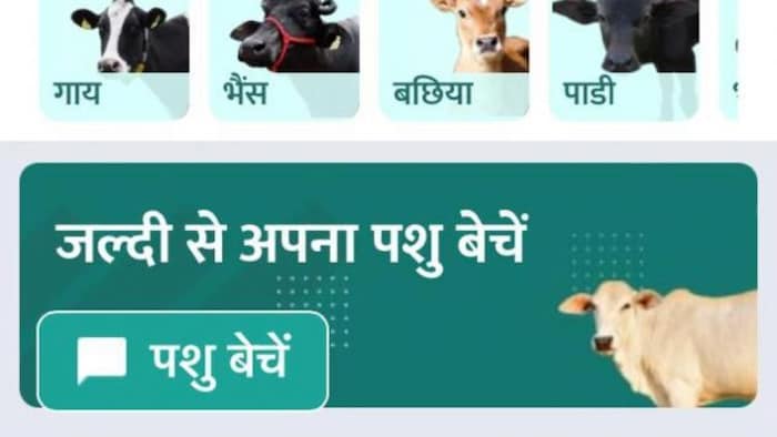 मोबाइल एप के जरिए पशुधन खरीदना मुफीद हुआ किसानों के लिए, फोटो साभार: एनीमलसेल.इन